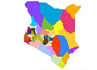 County Governments